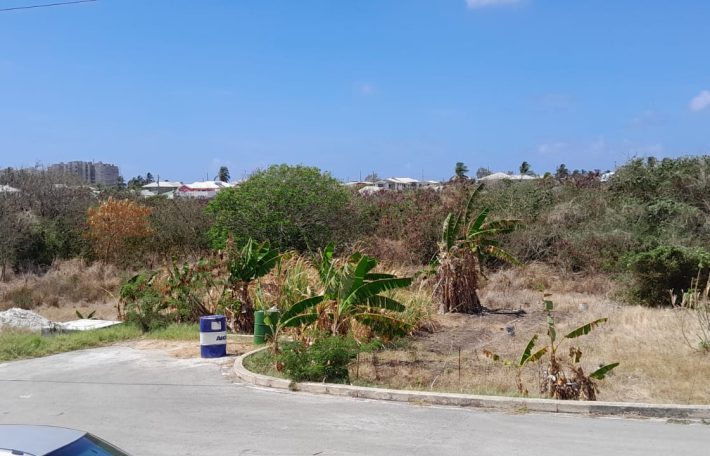 Lot 8 Crane St Philip