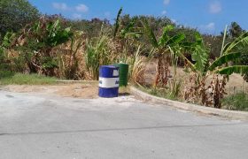 lot 7 Crane St Philip
